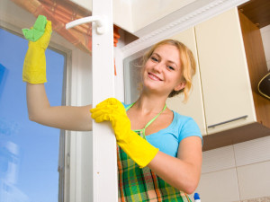 Window Cleaning Services